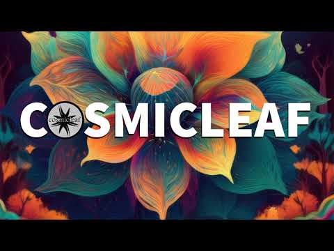 Alpha Hypnotica - Ananda