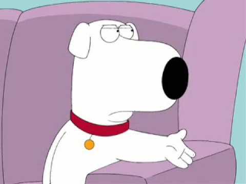 John Mccain Experience funny