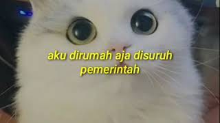 Download lagu Status Wa Snack Video Lucu mp3