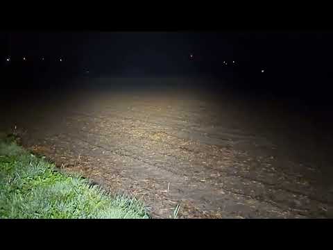 Noctigon dm1.12 sft + Xp G2 4000k