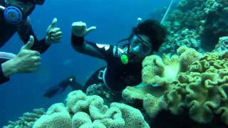 preview picture of video 'Padei Island Diving Spots @ Toli-Toli Kendari Sulawesi Tenggara'