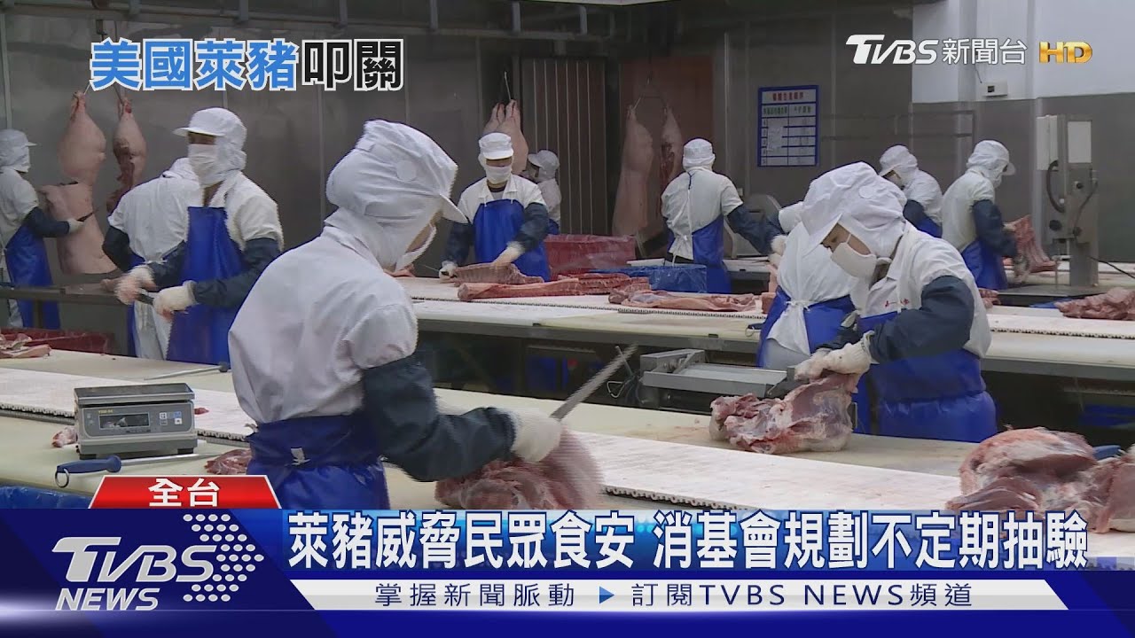 美豬元旦叩關！憂國產豬崩盤　獸醫師爆：已有農民賣豬舍