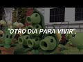 Plants Vs Zombies 2 I Just Want To Celebrate Subtitulada En Español