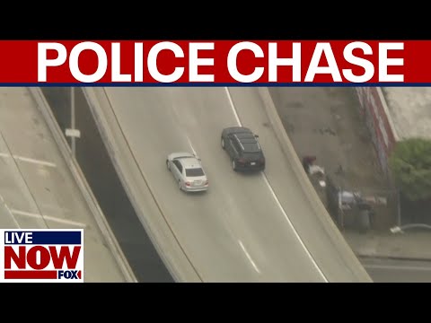 Video | WATCH: Suspect ditches car following LA freeway chase | LiveNOW from FOX