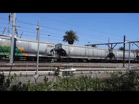 RL305  / 442s2 / 48s35 / 442s1 / RL305 with an SSR grain train - 24/10/19