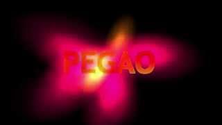 Gallardo y Falcon - Pegao (Lyric Video)