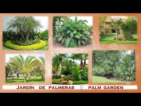 , title : 'Jardin de Palmeras 🌴 Palm Garden 🌴🌴'