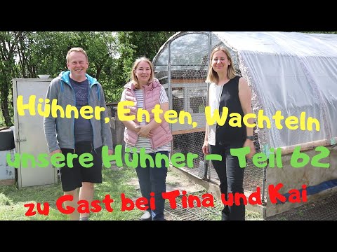 unsere Hühner Teil 62: zu Gast bei Tina und Kai und ihren Hühnern, Enten und Wachteln in OHZ/Nds