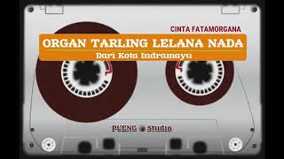 Download lagu ORGAN TARLING LELANA NADA CINTA FATAMORGANA... mp3