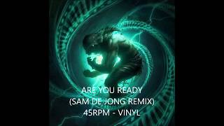 Disturbed ARE YOU READY (SAM DE JONG REMIX)