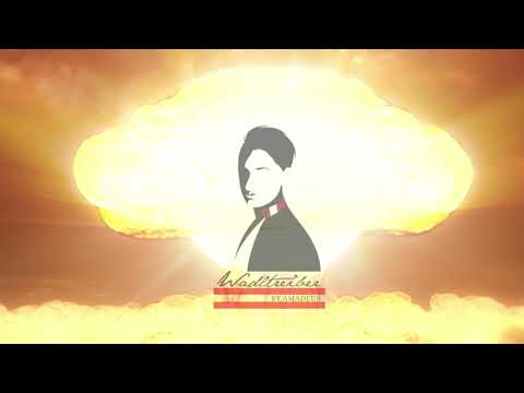 WADLTREIBER BY AMADEUS -NIXMEHRWIASWOAR 2020 NEUE SINGLE VÖ 31.12.2020