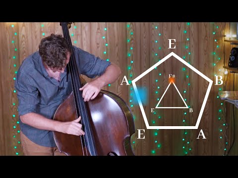 How I Use Harp Harmonics - Double Bass Harp Harmonics #2