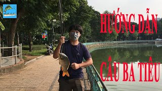 HƯỚNG DẪN CÂU BA TIÊU NHẸ NHÀNG VÀ HIỆU QUẢ NHẤT - Zalo: 0968702843