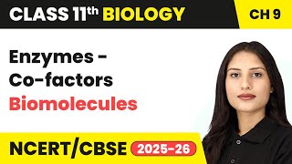 Enzymes (Co-factors) - Biomolecules | Class 11 Biology Chapter 9 | CBSE 2024-25