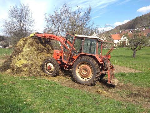Misthaufen anlegen: Futterplatz abräumen mit dem Renault 651-4