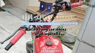 Download lagu Story wa-wegah kelangan 2 mp3