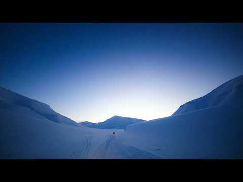 Niceshot: Poppa Bear (Original Mix)