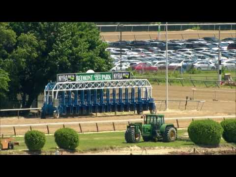 Epicharis on the Training Track 6-3-17