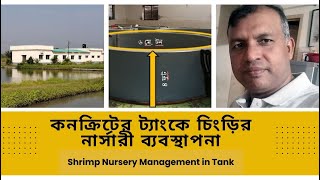 কনক্রিট ট্যাংকে বাগদা নার্সারী ব্যবস্থাপনা