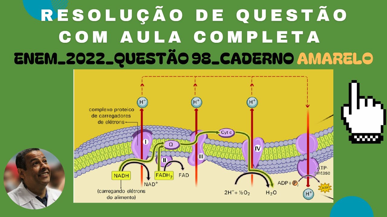 ENEM 2022_QUESTÃO 98_CADERNO AMARELO_TERMOGENINA_GORDURA MARROM_METABOLISMO ENERGÉTICO