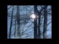 Диана Арбенина - Брамс (Мальчик на шаре, 2014) неофициальное видео 