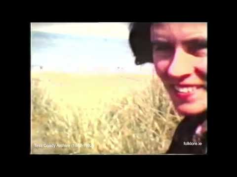 Rosslare Harbour (1962 - 1992) - From the Tess Coady Archive