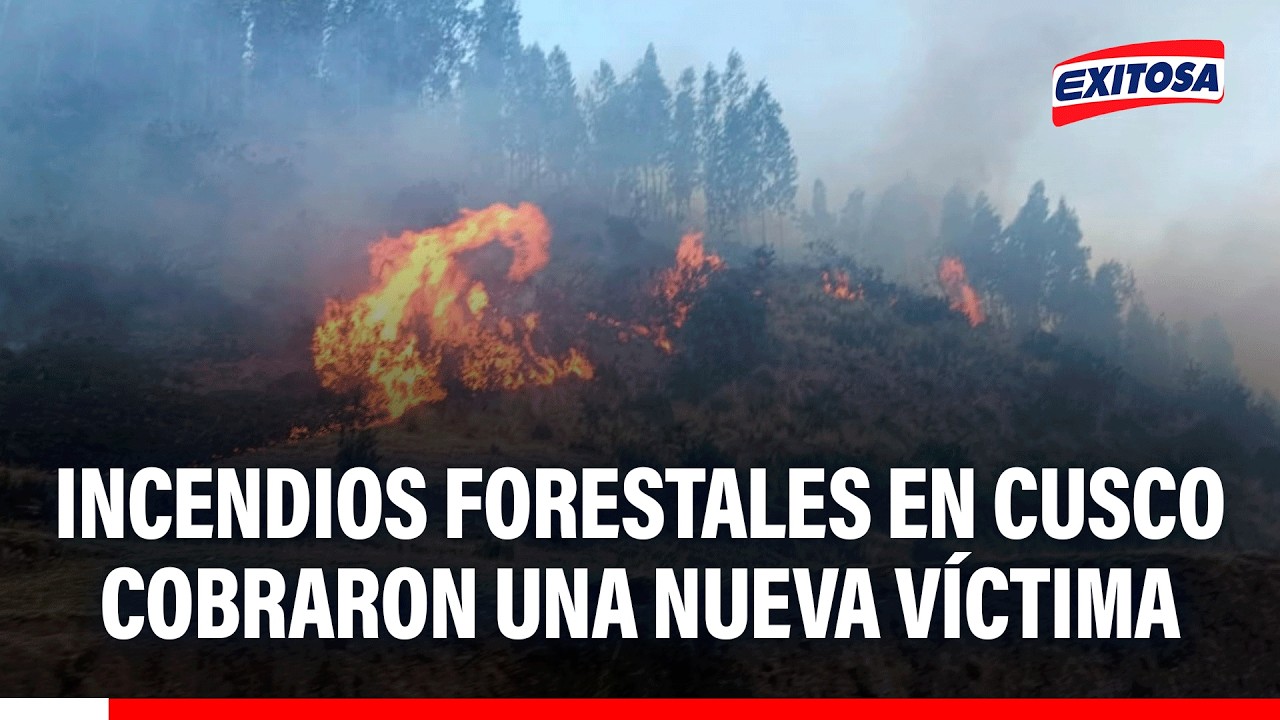 🔴🔵 Incendio forestales en Cusco cobraron una nueva víctima