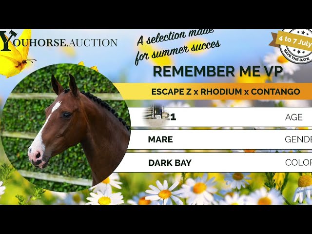 Remember Me showvideo