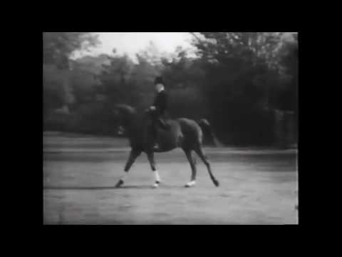 Oskar Maria Stensbeck at age 81 riding 'Gimpel'