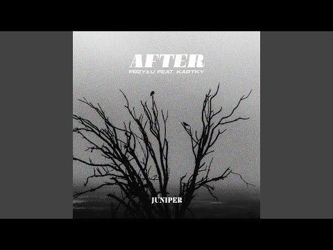 After (feat. kartky)