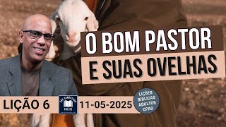 Lição 6 EBD - O Bom Pastor e suas Ovelhas