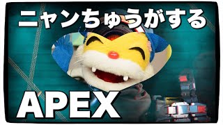 APEX