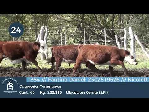 Lote M Y H - Cerrito  E Rios