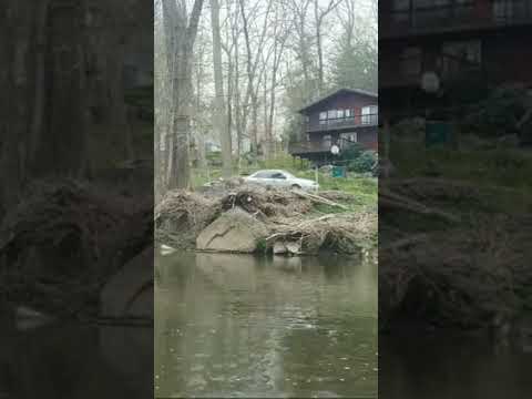 Look at how high this Trout jumped!