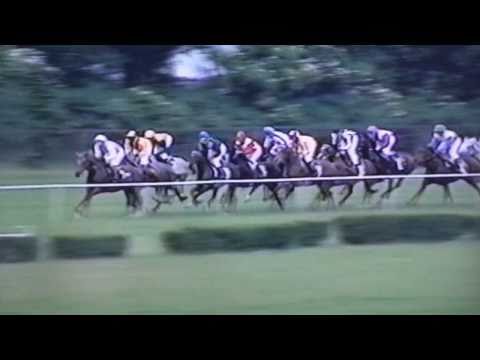 Nagroda Kabareta - 5.06.2004 - Calderon (Eukaliptus - Celna)