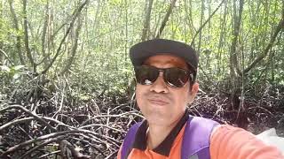 preview picture of video 'Mangrove Forest Tour at Lembongan Island'