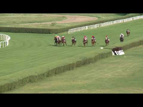 2017.08.20. 9. futam - NÉMETH FERENC EMLÉKKUPA V. FUTAMA HENDIKEP (IV.o.)