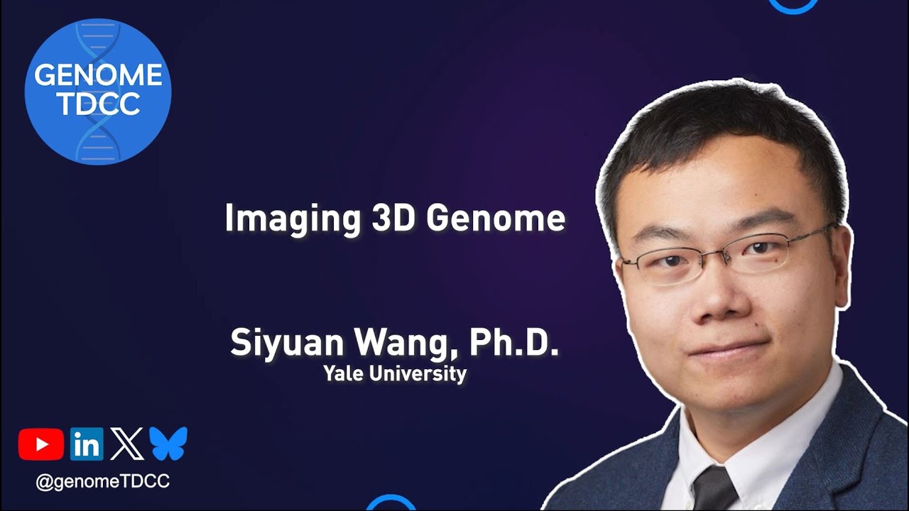 Imaging 3D Genome