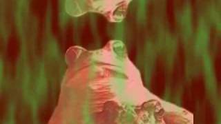 Brandi music video from ozone333
