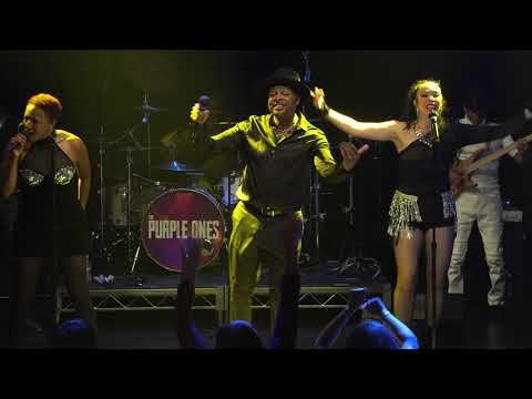 Promotional video thumbnail 5 for The Purple Ones - Insatiable Tribute to Prince