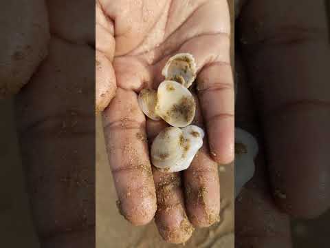 let's take beach to home..🌊💟