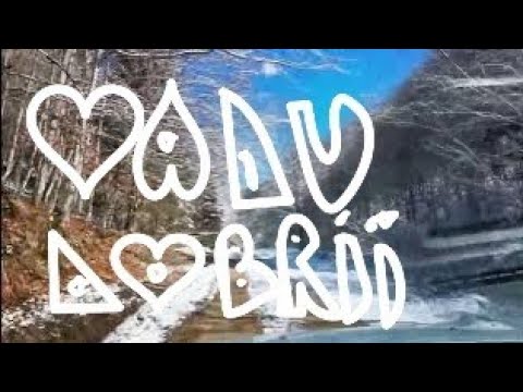 Drumul Vadu Dobrii - Runcu Mare, primăvara