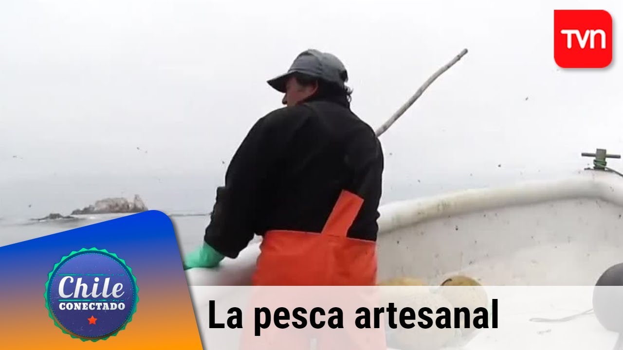 La pesca artesanal en Matanzas | Chile conectado | Buenos días a todos