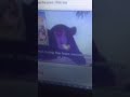 Sing Along Songs 4