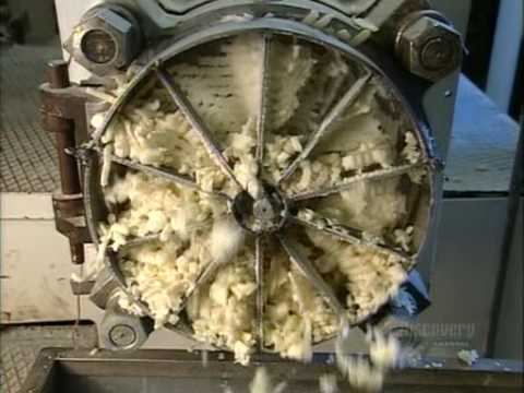 download lagu mp3 mp4 Seahock, download lagu Seahock gratis, unduh video klip Seahock