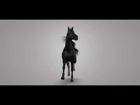 video frame placeholder