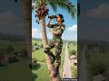 Lady Soldier Saves Milkman Grandpa From A Giant Snake Ai Army Save Bus