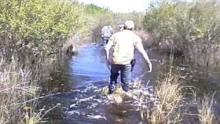 FRIENDS AND FAMILY.wmv