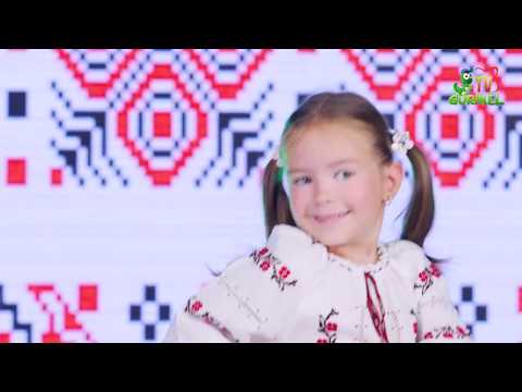 Andra Sofi Ghicavii - Câte doi