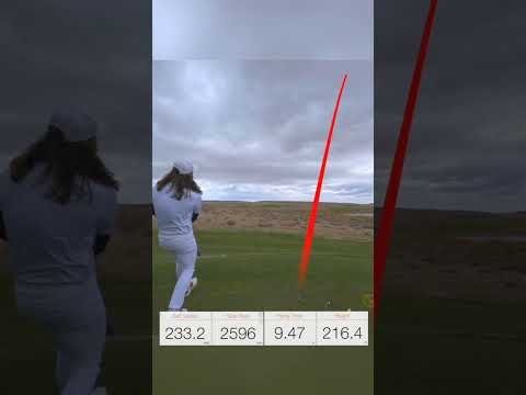 🚨 NEW WORLD RECORD DRIVE 🚨